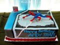 Birthday Cake-Toys 045